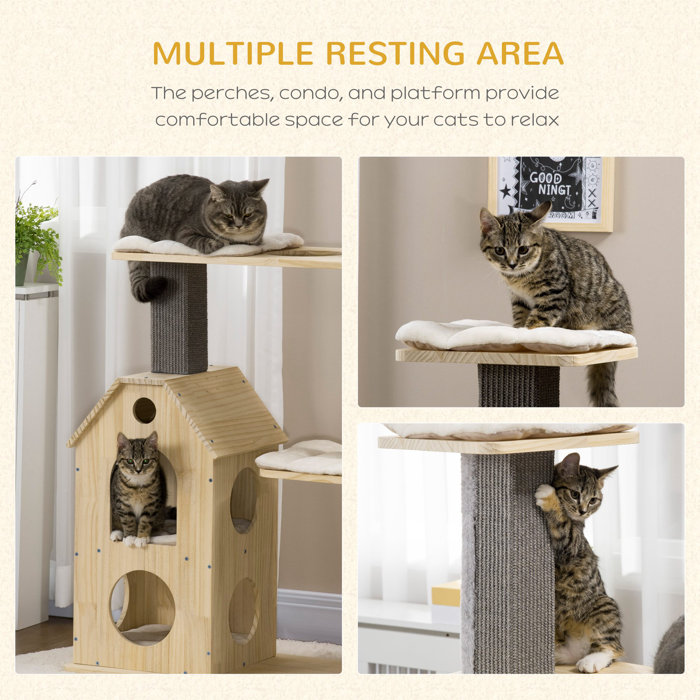 Archie & Oscar™ 53" Manish Cat Tree Wayfair